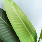 Árvore Bananeira Toque Real Com 2 Troncos 170cm | Formosinha